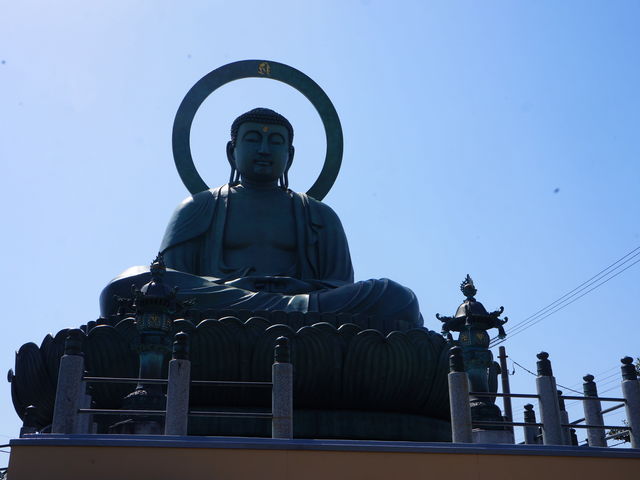 ���炩�Ȃ��������Ă��܂����B�ʐ^�B�e�̏ꍇ���ԑтɒ���_�����啧