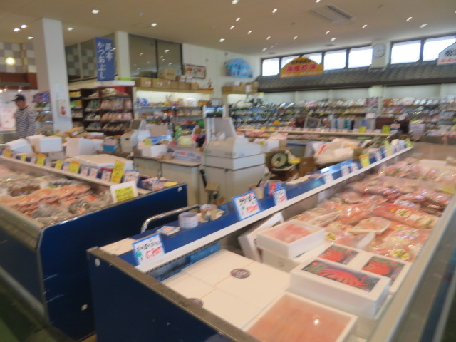 �L�x�ȊC�Y��������ł��܂�_���쉮