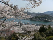 ibokorori̐̍̓eʐ^2