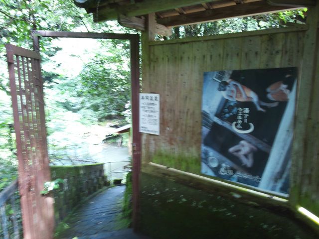 ����_��򎛉���