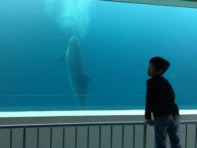 1F̐CJV[ӏ܁B_uzupC̉wCJh