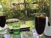 �Ⴓ��̋i��&�M�������[�@����͓��̓��e�ʐ^1