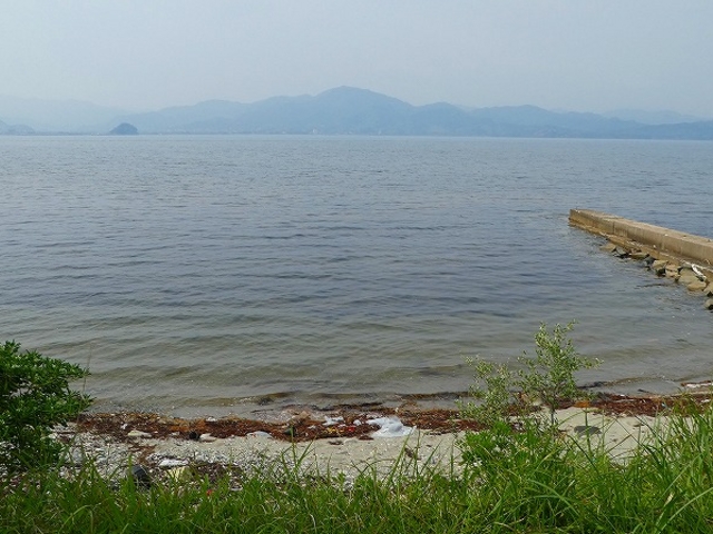 �R�����E����s�E�C���E�g�̋���_�C��