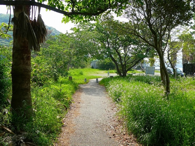 �R�����E����s�E�C���E�g�̋���_�C��