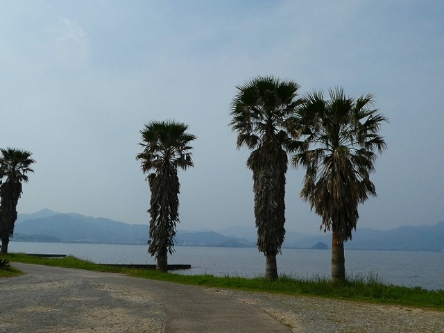 �R�����E����s�E�C���E�g�̋���_�C��