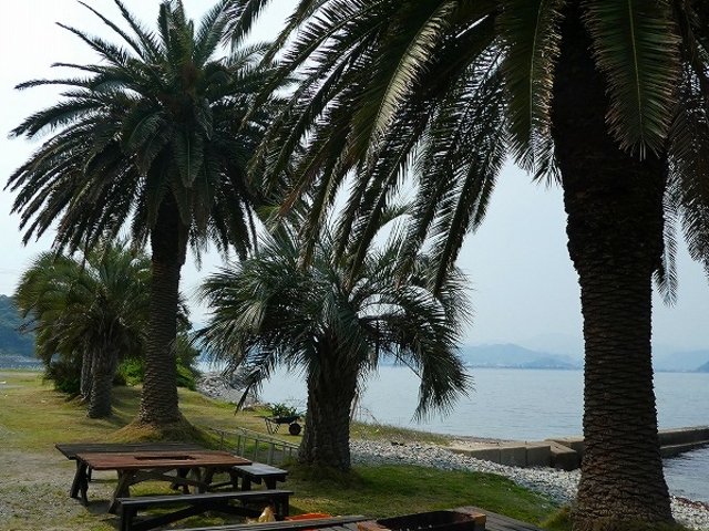 �R�����E����s�E�C���E�g�̋���_�C��