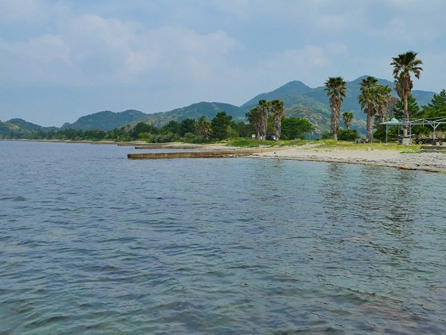 �R�����E����s�E�C���E�g�̋���_�C��