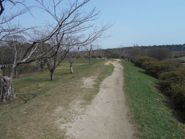 �O���V����_�ܗŊs����