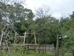 lX񂳂̎OЂ̃LNZCւ̓eʐ^1