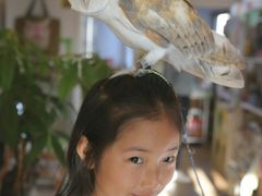 悤̂ӂ낤̂XJtFÉhXւ̓eʐ^1