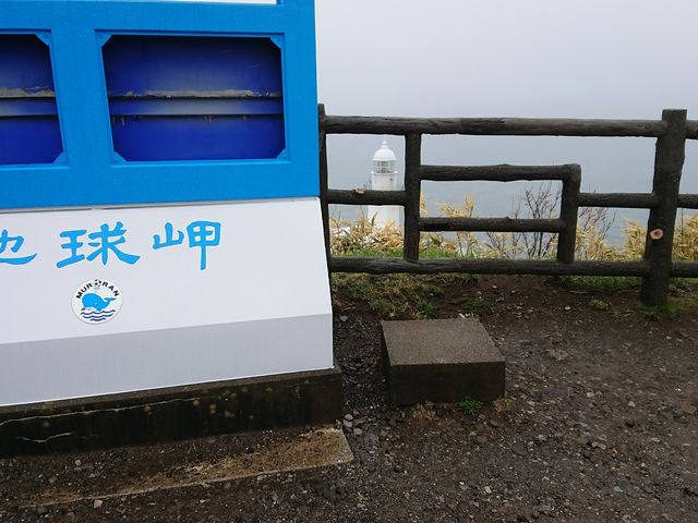 �n����_�n�����W�]��