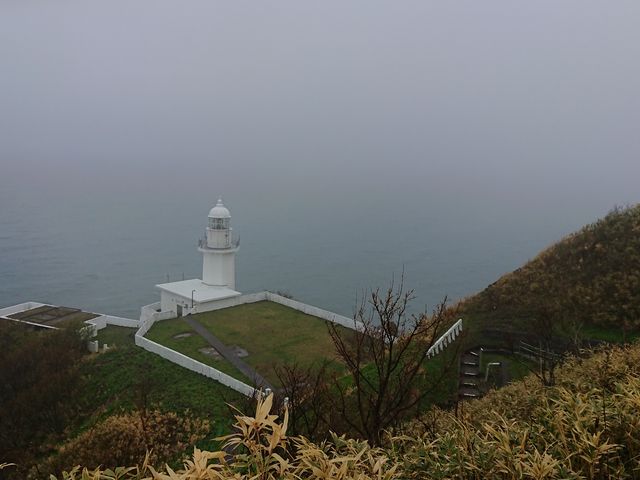 ����_�n�����W�]��