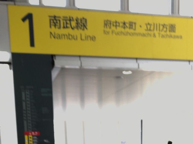 �\��_�i�q�앐���o�ˉw