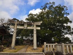 JOEさんの青幡神社の大楠への投稿写真1