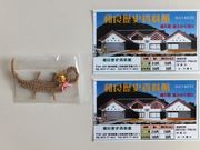 ڂ炳̘aǗjق̓eʐ^7