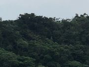 ҁ[̗̂^ߔexAQ̓eʐ^1