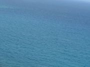 ҁ[̗̂^ߗ䒷l̓eʐ^1