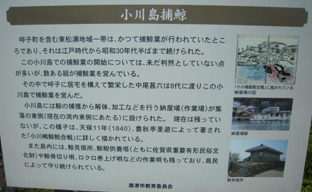 呼子町呼子の観光スポットランキングtop10 じゃらんnet