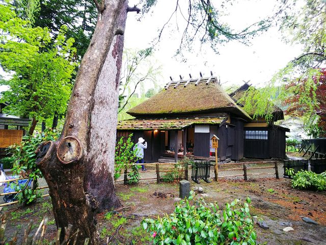 �����������̕��Ɖ��~_���{��