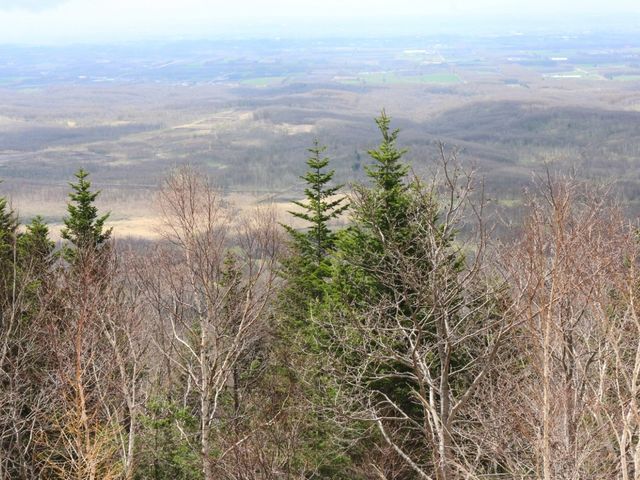 ���_���