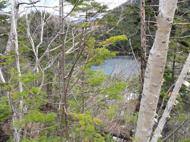 ���H�������̂Œ�Ԃ͗v����_��~��