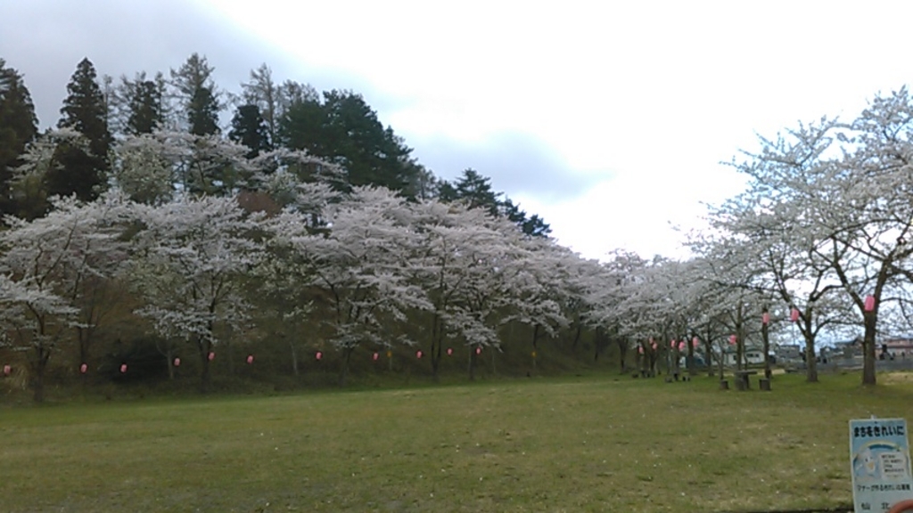 秋田の公園 庭園ランキングtop10 じゃらんnet