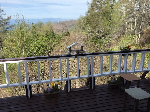 Ƃ񂳂̐ȉh h~t@I̓eʐ^2