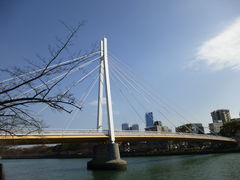 トロムソさんの川崎橋の投稿写真1