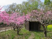 Todayŝӂ΂̉̓eʐ^1