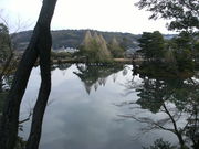 ibokorori̞ėRiZj̓eʐ^2