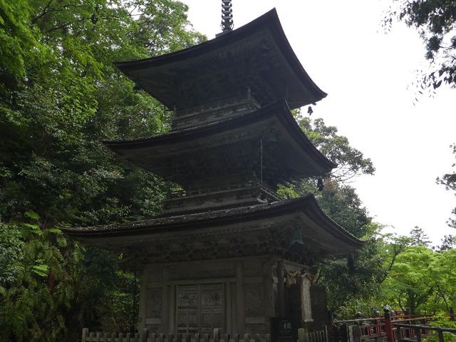 �O�d��_�ߒJ��