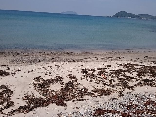 �L���C�Ȑ�_R�P�X�P�@�C�݃h���C�u