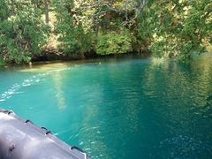 ݂񂳂̃BgJ̓]ւ̓eʐ^1