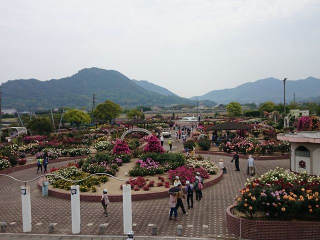 ǂ݂̂悵݃[Yق̓eʐ^4