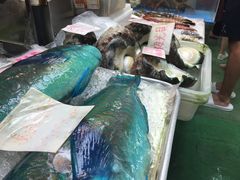 �G����̂ւ̓��e�ʐ^2