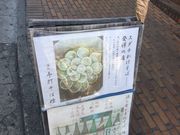 SKSY̎ƍƎł r̓eʐ^1