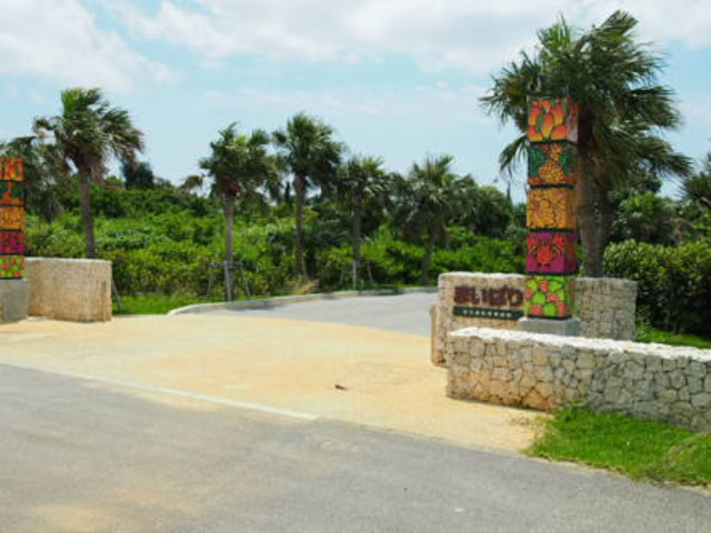 �g���s�J���ȕ��͋C_�܂��ς� �{�Ó��M�щʎ���