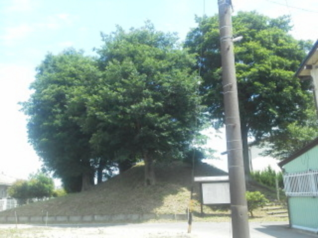 �������猩��ƕx�m�R���ۂ��H_�x�m�˂̔�