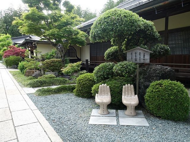 �C�I������̏��@�̓��e�ʐ^1