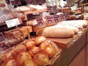 sakurãAfZ }qʐX̓eʐ^1