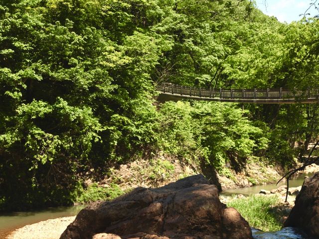 �F�X�ȂƂ��납��ʐ^���B��܂�_�s���̑����