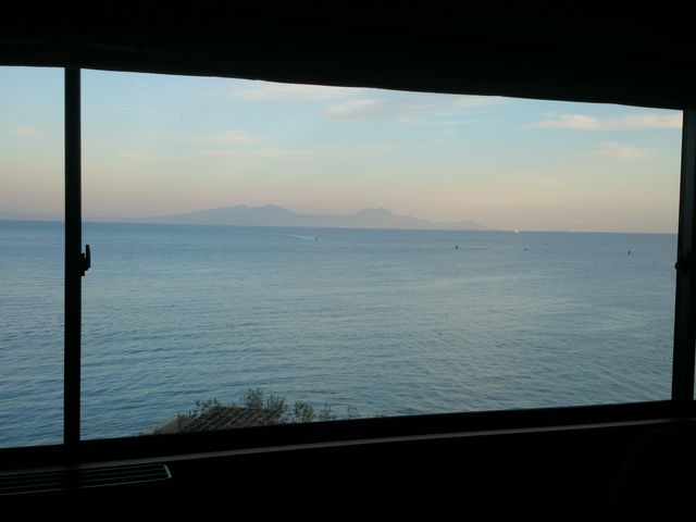 �����̑�����̗L���C_�L���C�ɒ���������@�|��������i�C���I�V�̏h�@��������@�앗�O