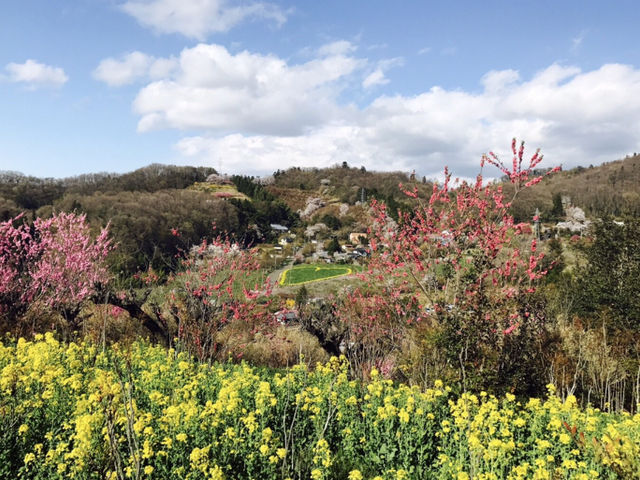 �Y��Ȓ���_�Ԍ��R����