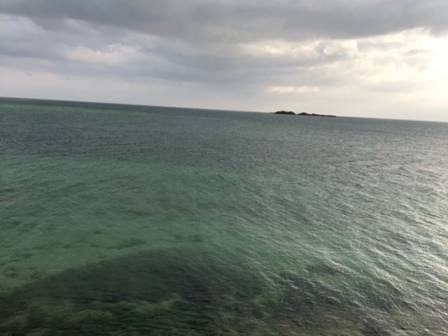 �ƂƂ���̕S�V��W�]��̓��e�ʐ^1