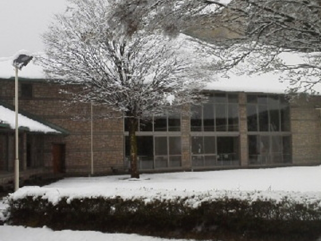 ����_�q����Y����