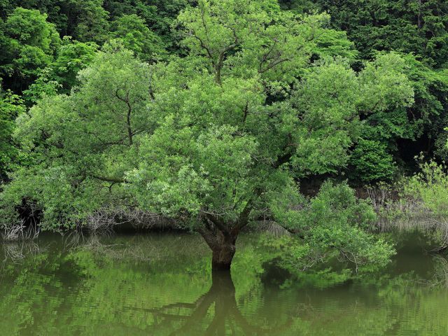 ���������Ă��܂����A����ł��Y��ɉf�荞��ł���Ă��܂��B_�����_��