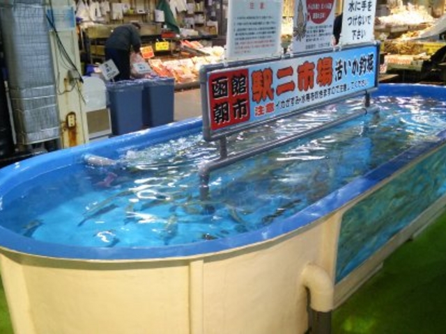 �C�J�ނ�_���ْ��s