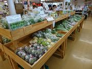 moomi̓̉w Og̗̓eʐ^1