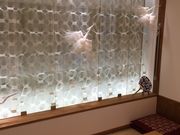 ̓㉷ʊٔ򒹔T̓eʐ^7