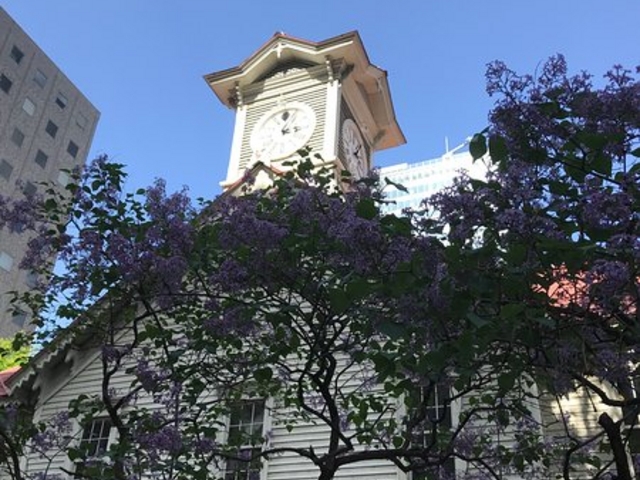 ���v��_�D�y�s���v��